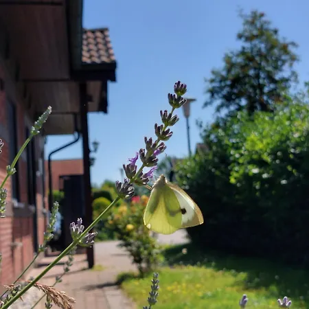 Sasse Mit Garten&grill *