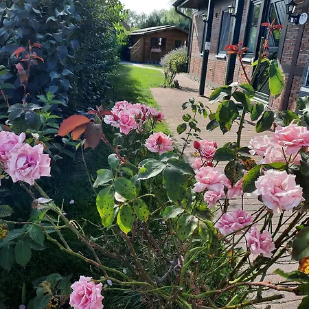 Sasse Mit Garten&grill *