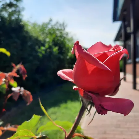 Sasse Mit Garten&grill * Molschow